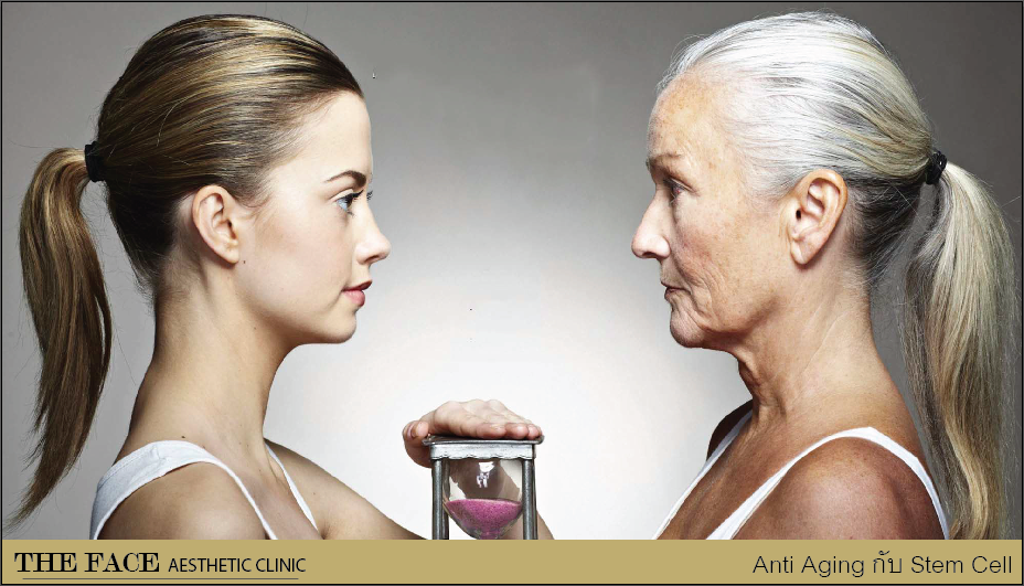 ANTI AGING กับ STEM CELL